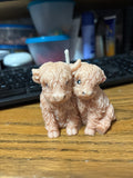 Highland Cows